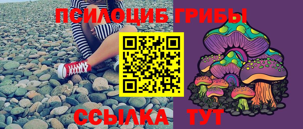 Галлюциногенные грибы ЛСД Печора