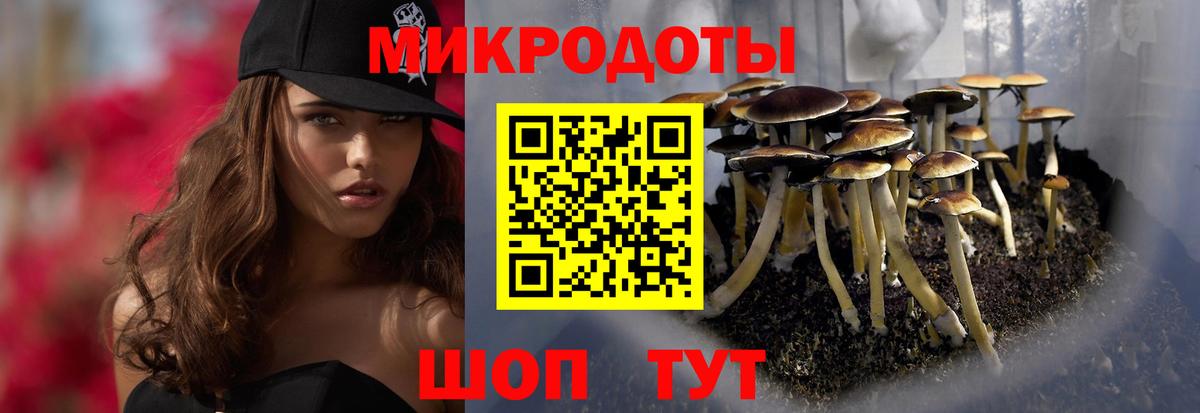 Псилоцибиновые грибы мухоморы  Вход с VPN  Печора  Псилоцибиновые грибы мицелий 